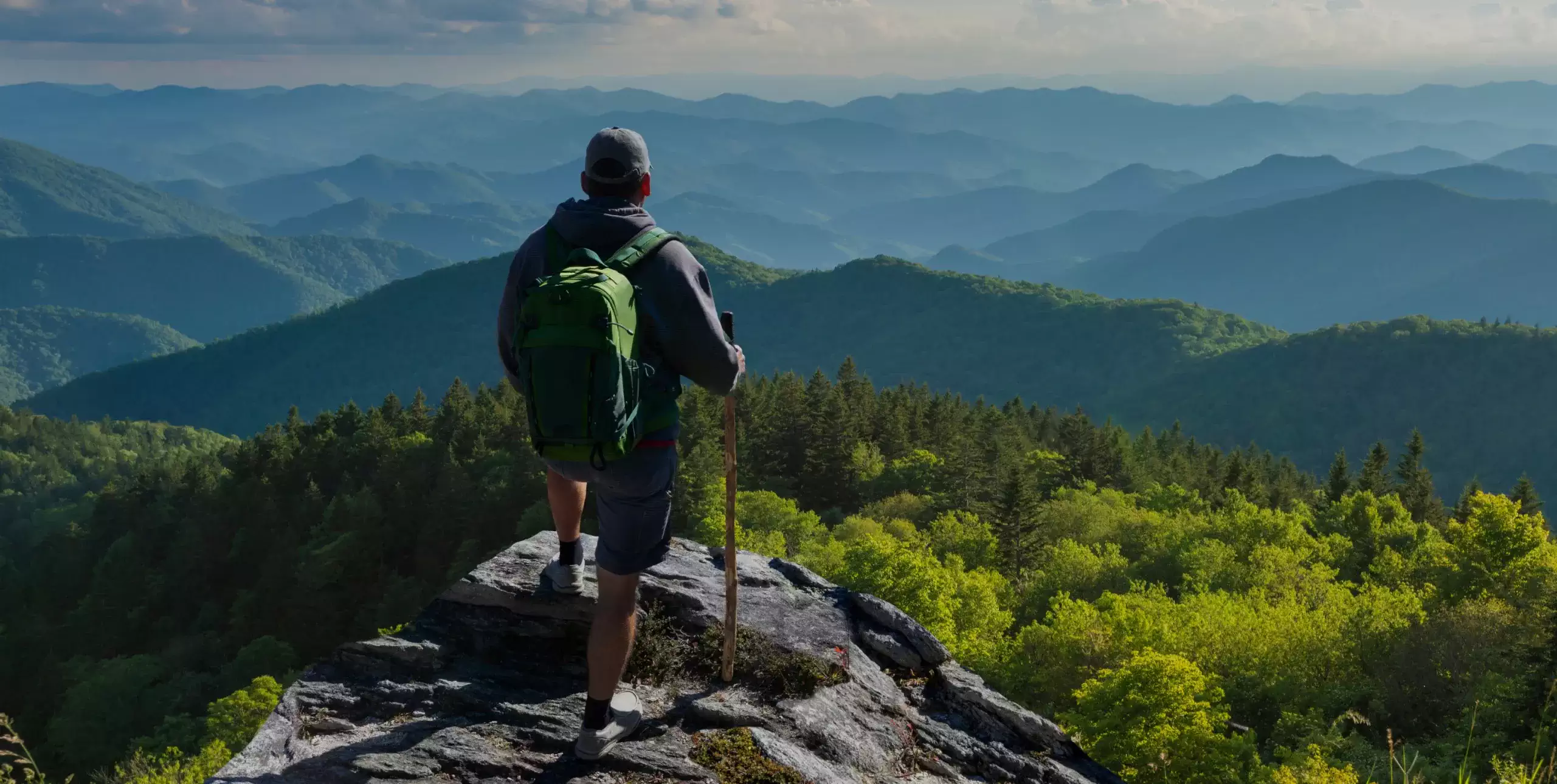 loyaltyBannerLoggedOut